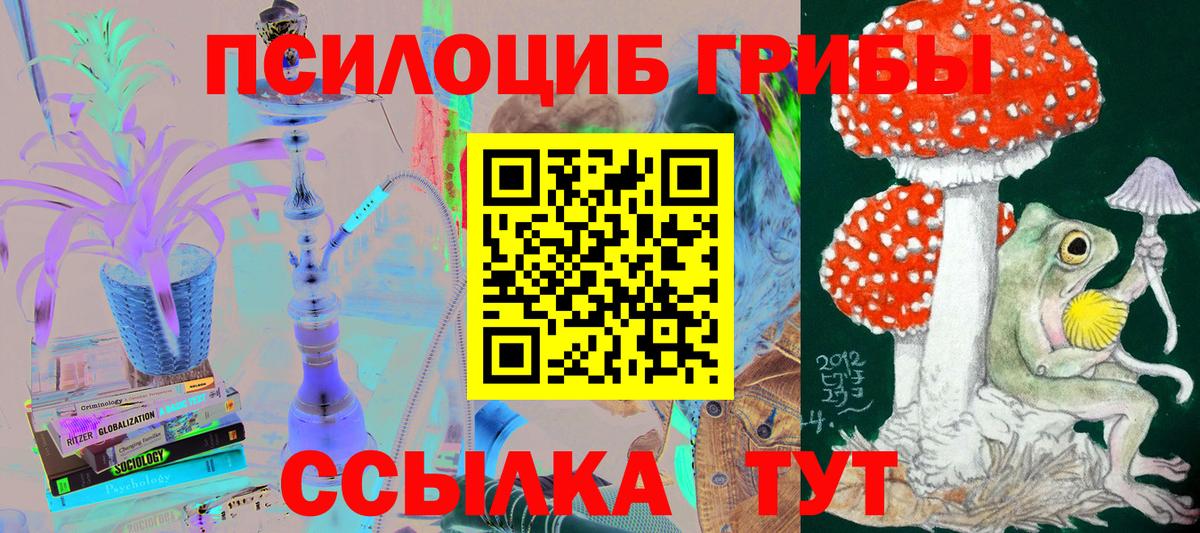 Галлюциногенные грибы GOLDEN TEACHER Лениногорск