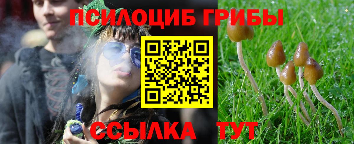 Псилоцибиновые грибы MAGIC MUSHROOMS  Вход с VPN  Лениногорск 